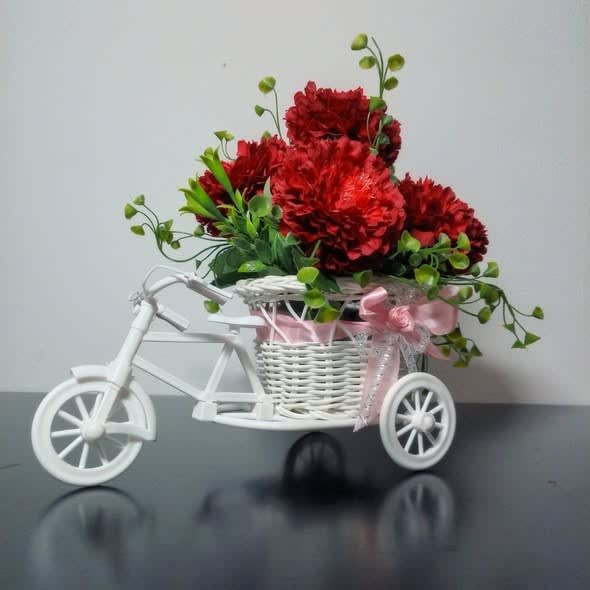 Bicycle image 1