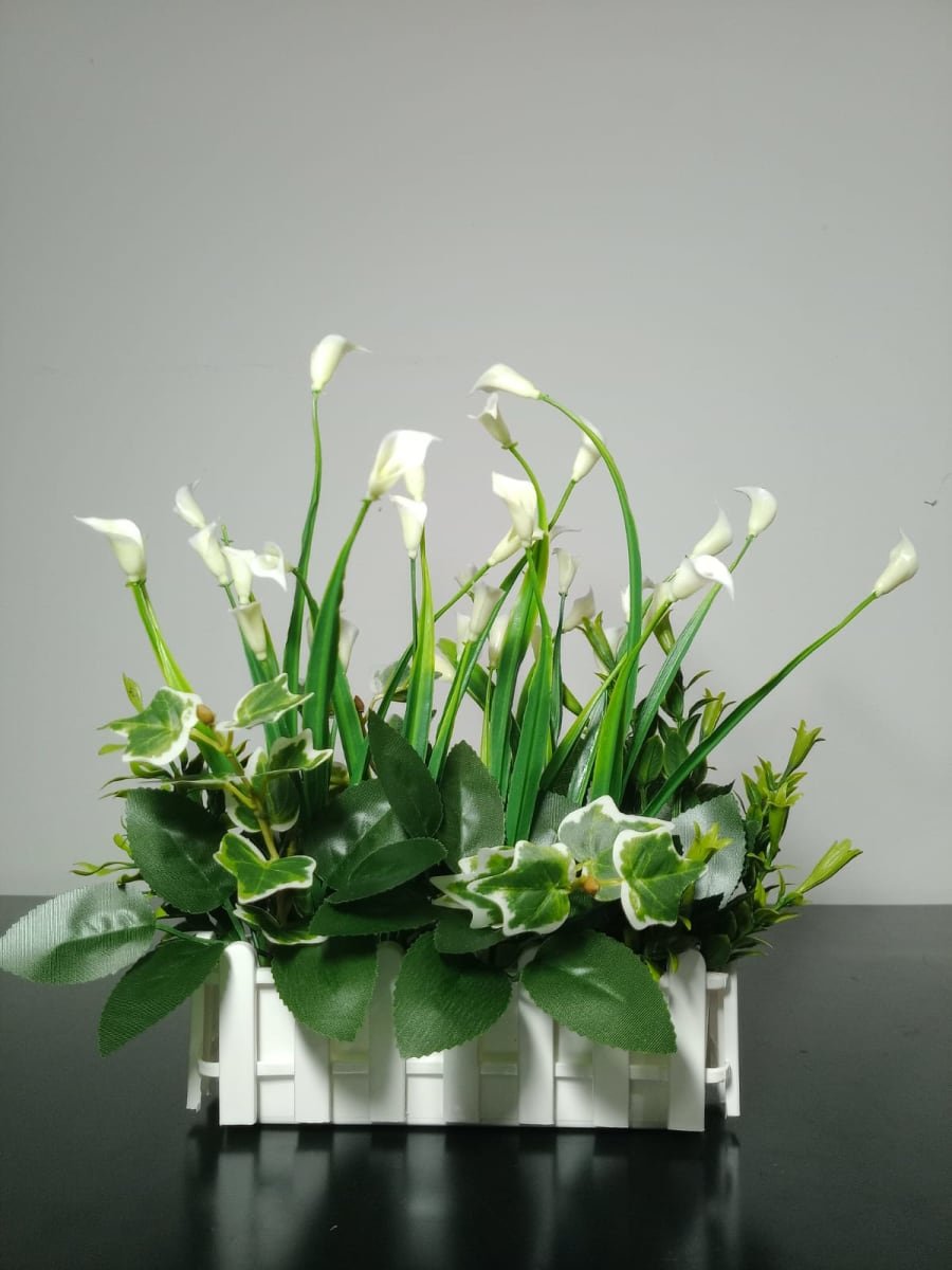 Lily image 1