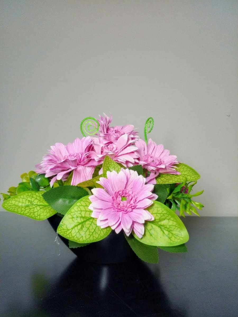 Daisy image 1