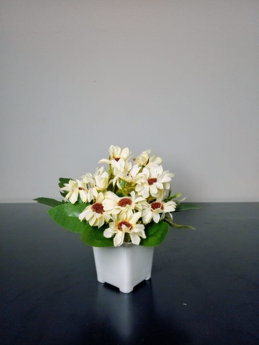 Pearl image 1